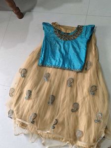 Embellished Net Lehenga Skirt