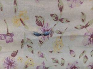Bedsheet only