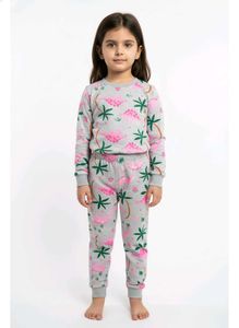 Girl's Dinosaur Pajama Set
