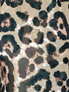 Shein Leopard Print T-Shirt 🐆