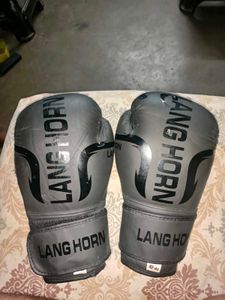 LANG HORN Boxing Gloves