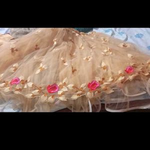 Embroidered crop top Lehenga Skirt