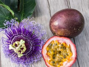 Exotic Passion Flower seeds( 10 seeds)