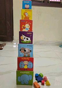 Wooden Shape Sorting Stacking Blocks Toy 8
