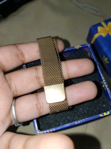 Crestello Gold Mesh Watch