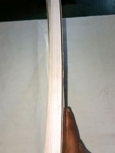 12th Std Botany Book