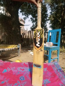 Cricket Bat