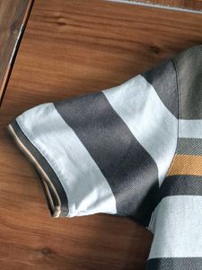 Men's Polo T Shirt