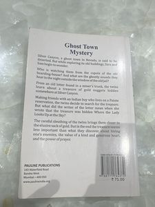 Ghost Town Mystery Book