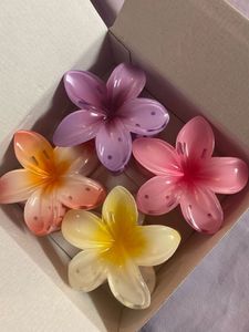 Beautiful Hair Accessories Pack Of 4