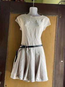 Elegant Pleated Dress