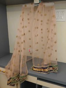 Orange Embellished Lehenga Skirt