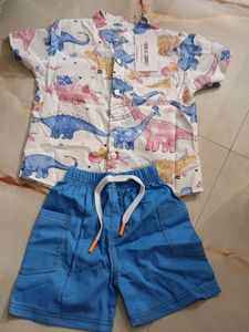 Cute Dinosaur Print Shirt