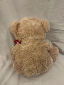 Cute Teddy Bear with "Be Mine" Heart