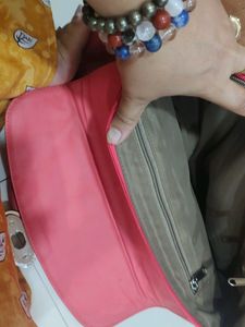 Baggit Bag