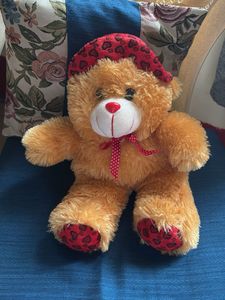 Cute Teddy Bear Plush Toy