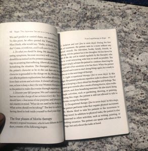 Ikigai Bestseller Book