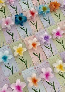 beautiful claw clips (set of 6) best for gifting