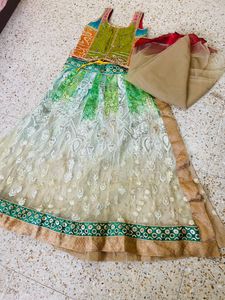 Cutest Lengha Coli