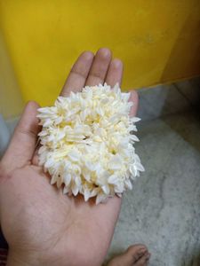 Artificial Gajra