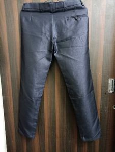 Stylish Navy Blazer Pant