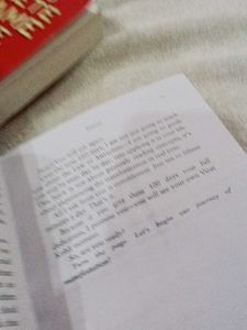 Manifest Anything in 100 Days Book