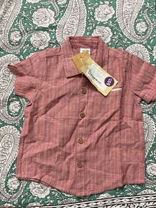 Striped Short-Sleeve Button-Up Shirt