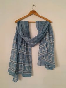 Blue Printed Kurta Set (Women's)