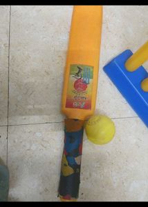 Kids Cricket Set