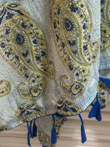 Beautiful Paisley Print Kurta