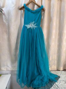 Designer Princess Cinderella Tulle Gown
