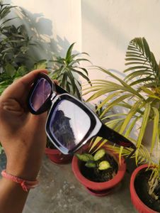 Stylish Black Frame Eyeglasses