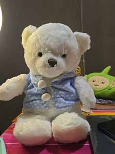 Cute White Teddy Bear Toy