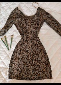 Leopard Print Long Sleeve Mini Dress