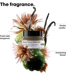 L'Oreal Absolut Repair Molecular Mask