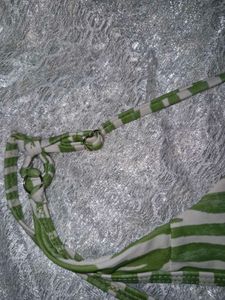Stylish Green Zebra Print Bikini Top