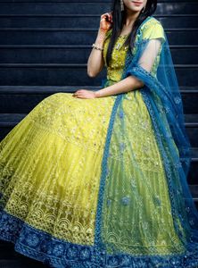 Lehnga - Mehndi & Blue Embroidered Mirror work