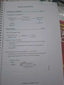 Physiology Marrow Edition 5