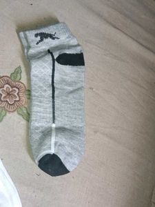 Whippet Sport Ankle Socks