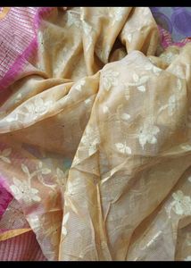 Elegant Yellow Saree with Pink Border