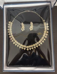 Sparkling Necklace and Earring Set