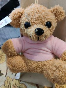 Adorable Plush Teddy Bear