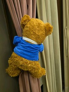 Cute Teddy Bear Decor