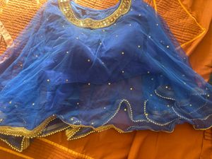 Blue Net Blouse with Embellishments