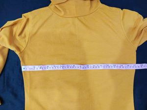 NEW Branded Turtle Neck -2