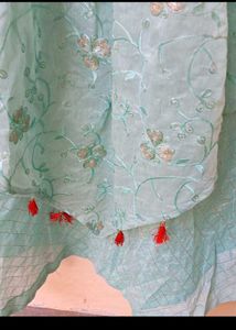 bust 42 Stunning Blue Ethnic Gown