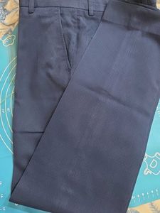 Men's Blue Textured Dress Pants