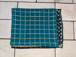 Beautiful Sea Green Check Saree ✨️🦋