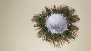 Peacock Feather Wall Decorative Item Use In Photo