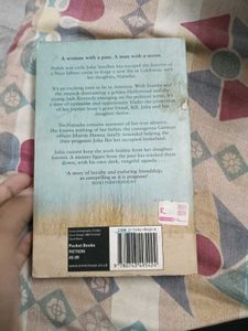 A Shadow on the Sun by Francis Cottam